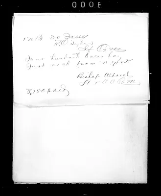 p. 19
