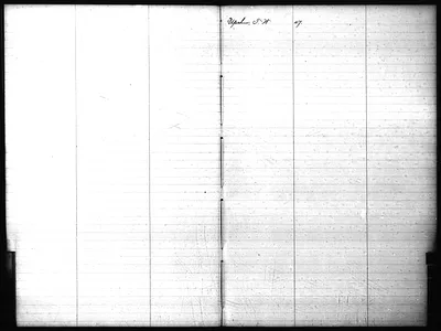 p. 21