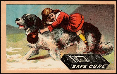 Warners Safe Rheumatic Cure