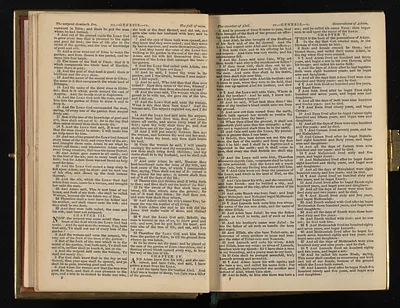 p. 11