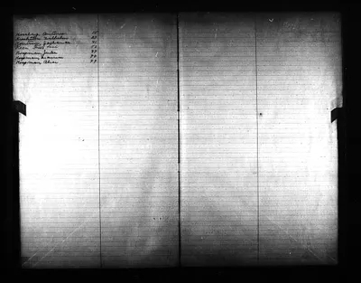 p. 19