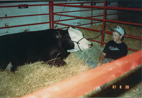 Boy with Cow in Barn, 1987
