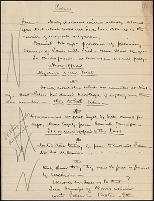 Notes about Louis Pelser