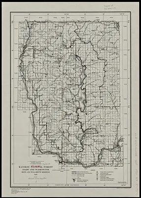 Kaniksu National Forest, Idaho and Washington