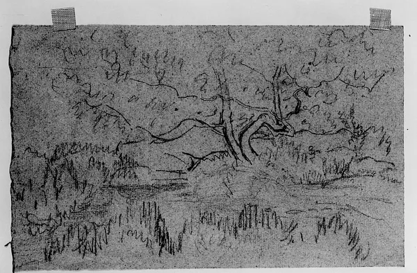 Rough sketch of landscape w/ old tree