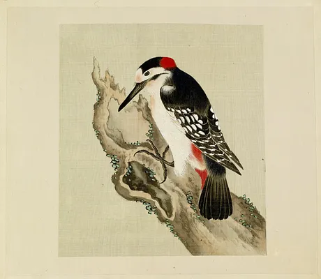 Leaf from Album Depicting Small Birds