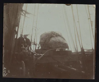 p. 19