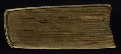 p. 8