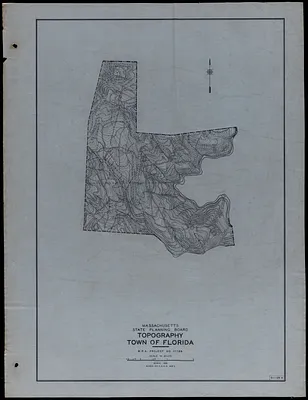 Topography Town of Florida
