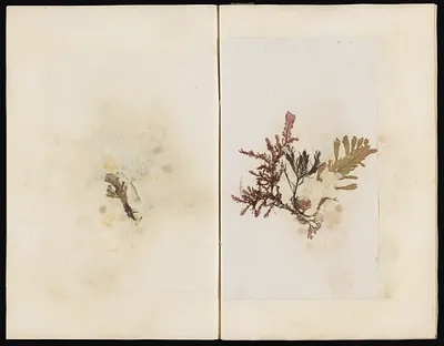 p. 45