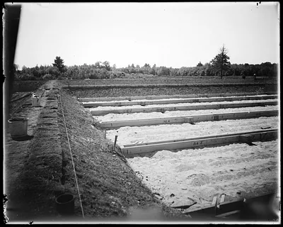 Filter beds showing spouts