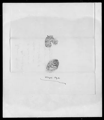 p. 14