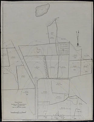 Rough Survey of Portions of Mr. William Simes, Marsh and Martin Lots and Land of Adjoining Owners