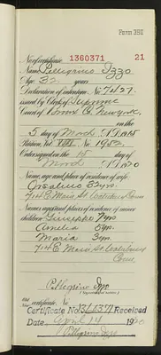 p. 24