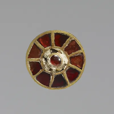Fibula