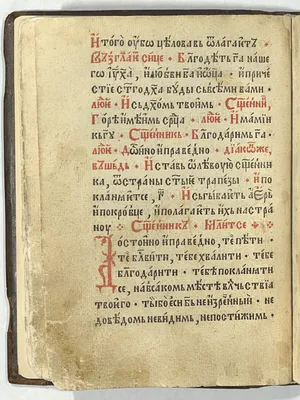 p. 48