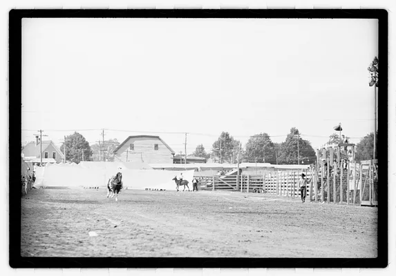 Brockton Fair