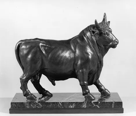 Bull, standing