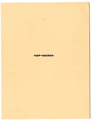 p. 20