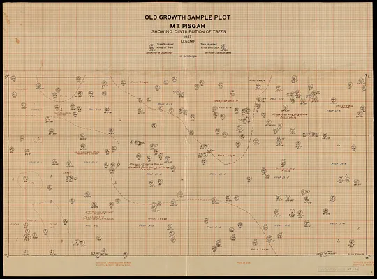 Old Growth Sample Plot Mount Pisgah Showing Distribution of Trees