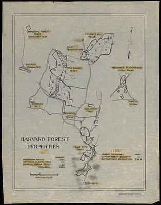 Harvard Forest Properties 1937