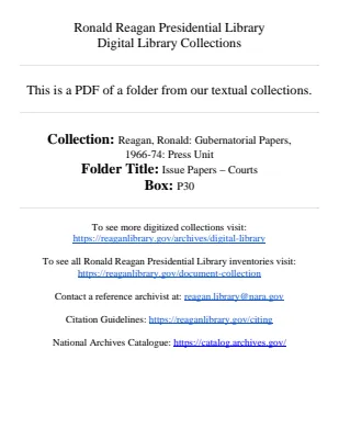 Issue Papers - Courts