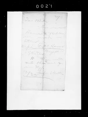 p. 31