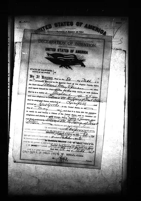 p. 51