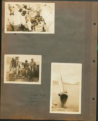 p. 33