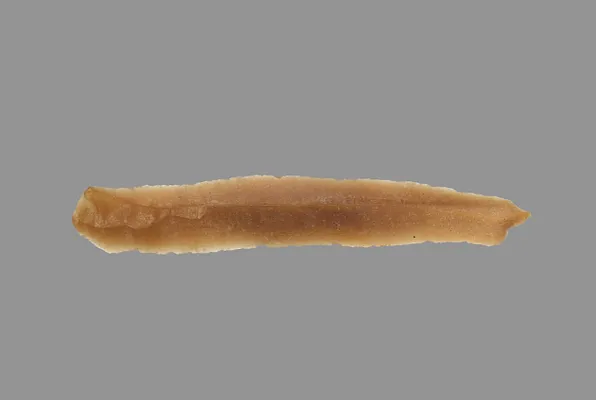 Sickle Blade