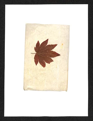 p. 13