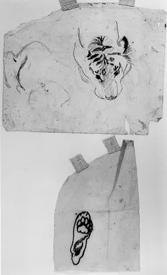 p. 2