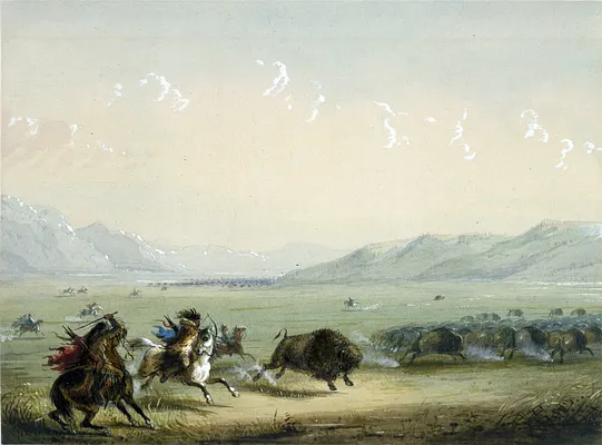 Running Buffalo