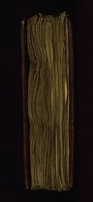 p. 5