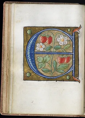Leaf from Alphabet Book