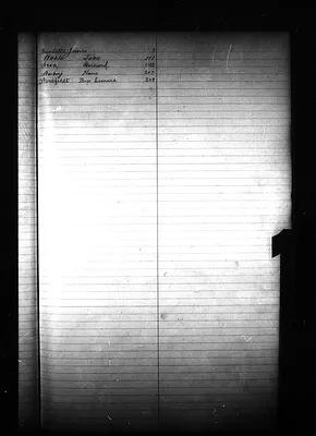 p. 20