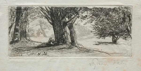 Holly Field