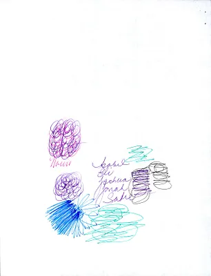p. 30