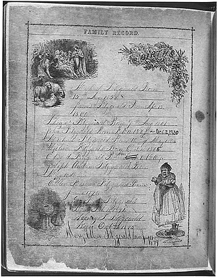 Fitzgerald Family Bible