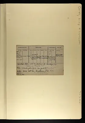 p. 7
