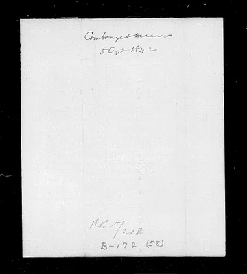 p. 20