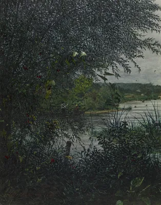 Willow Tree and Convolvulus in front of a River