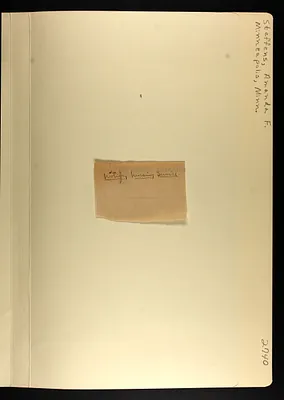 p. 37