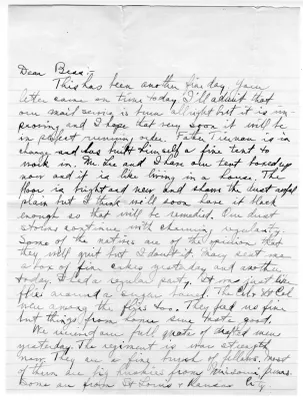 p. 5