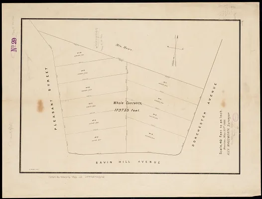 [Plan of house lots for sale on Savin Hill Avenue, Dorchester, Mass.]