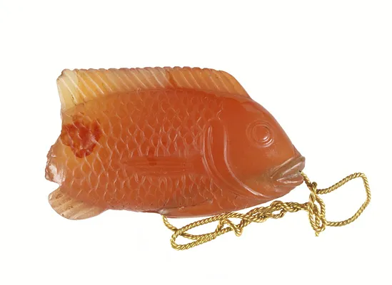 Tilapia Fish