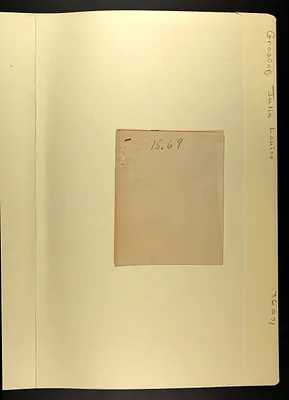 p. 35
