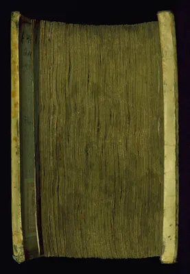 p. 7