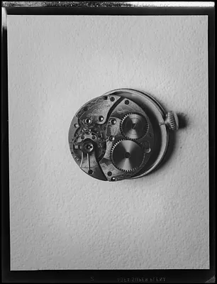 Works of watch from the Waltham Watch Co.