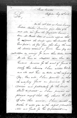 p. 31